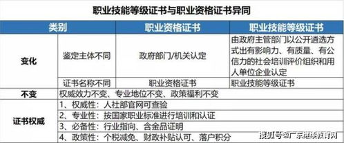廣東省電子商務(wù)師職業(yè)技能等級證書與國家職業(yè)資格證書 異同解析與技術(shù)開發(fā)應(yīng)用